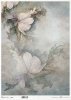 motywy roślinne, motywy kwiatowe, tło, tapeta, kolaż, rośliny, kwiaty*floral motifs, floral motifs, background, wallpaper, collage, plants, flowers*blumenmotive, blumenmotive, hintergrund, wallpaper, collage, pflanzen, blumen*motivos florales, motivos flo